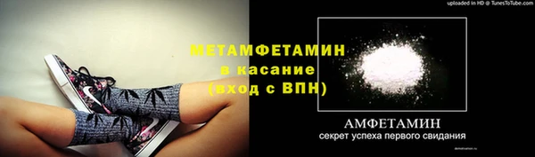 твердый Чекалин