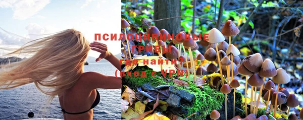 марки nbome Алексеевка