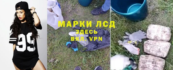 гидропоника Алзамай