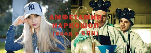 шишки Алексин
