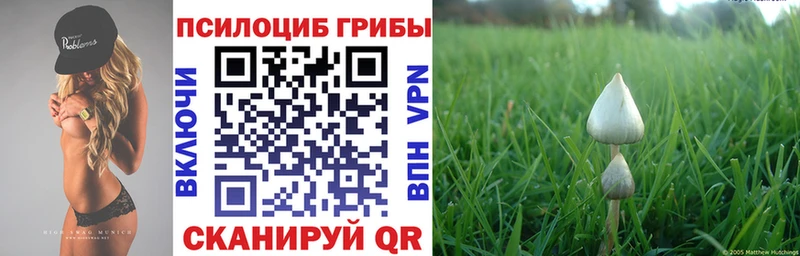 где найти наркотики  Салават  Псилоцибиновые грибы GOLDEN TEACHER 