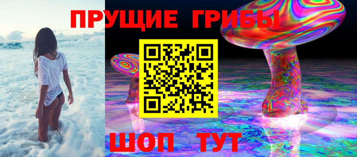Галлюциногенные грибы MAGIC MUSHROOMS  Вход с VPN  Салават 