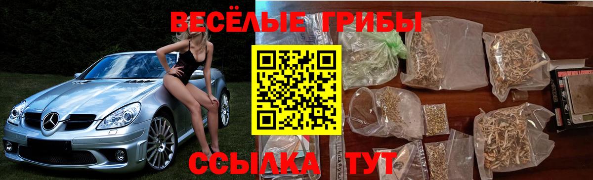 Галлюциногенные грибы мицелий Салават